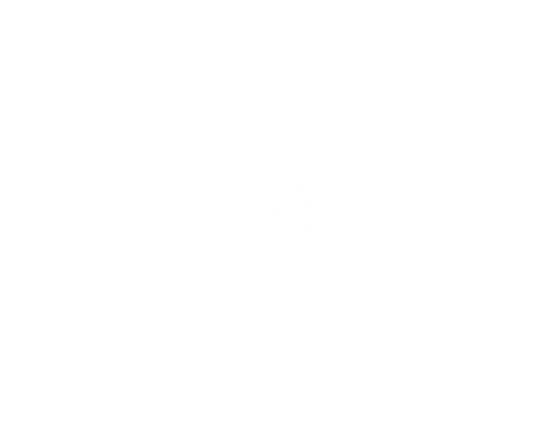 Generation Sixteen